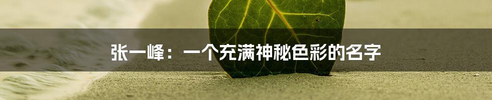 张一峰:一个充满神秘色彩的名字