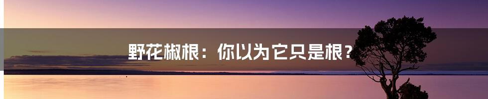 野花椒根：你以为它只是根？
