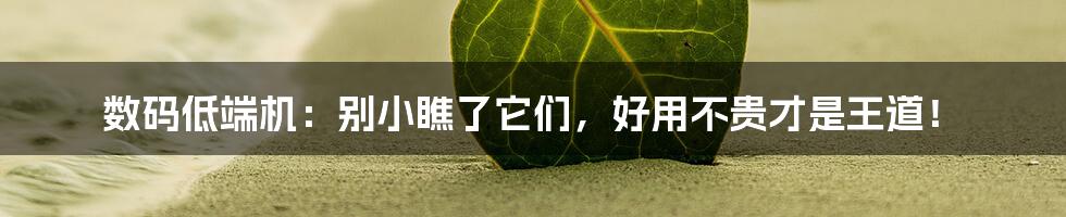 数码低端机:别小瞧了它们,好用不贵才是王道!