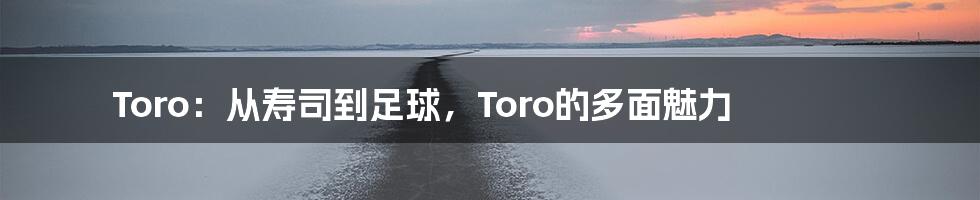 Toro:从寿司到足球,Toro的多面魅力