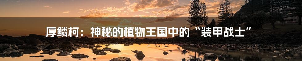 厚鳞柯:神秘的植物王国中的“装甲战士”