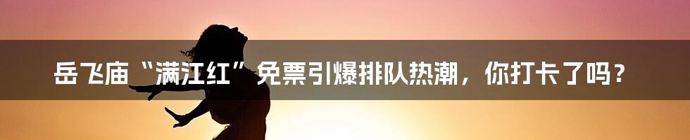 岳飞庙“满江红”免票引爆排队热潮,你打卡了吗?