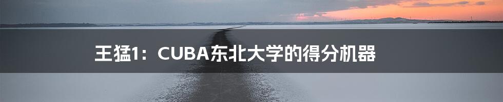 王猛1:CUBA东北大学的得分机器