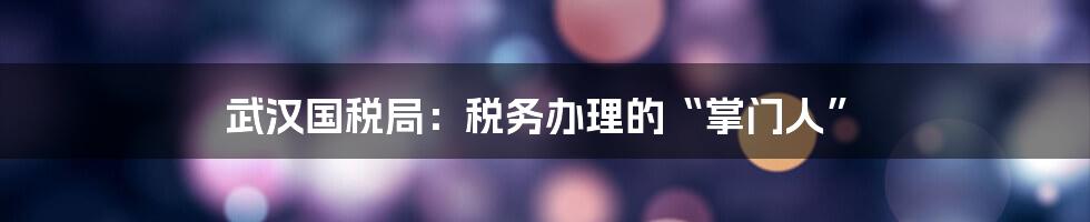 武汉国税局:税务办理的“掌门人”
