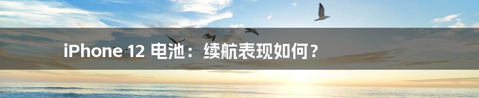 iPhone 12 电池:续航表现如何?