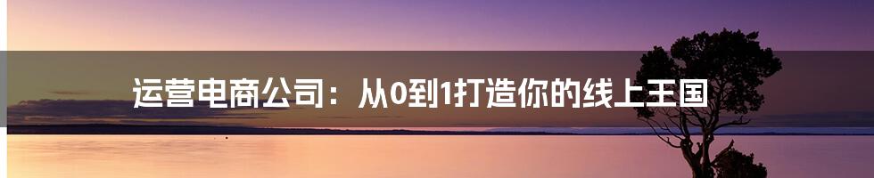 运营电商公司:从0到1打造你的线上王国
