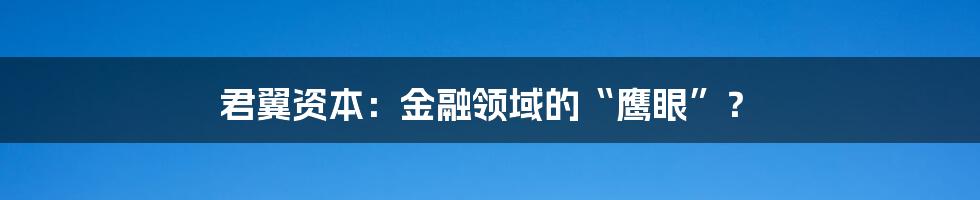 君翼资本:金融领域的“鹰眼”?