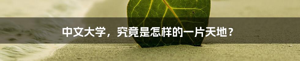 中文大学,究竟是怎样的一片天地?