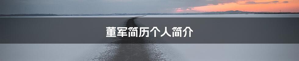 董军简历个人简介