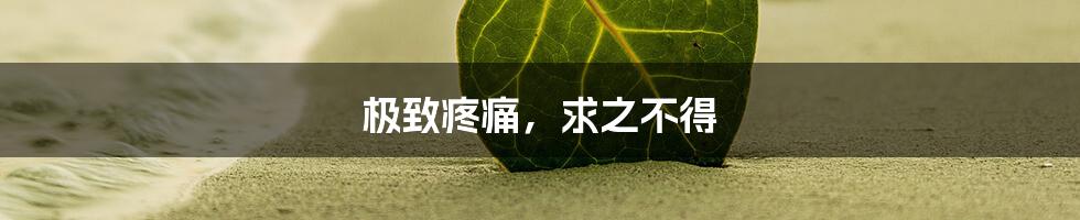 极致疼痛,求之不得