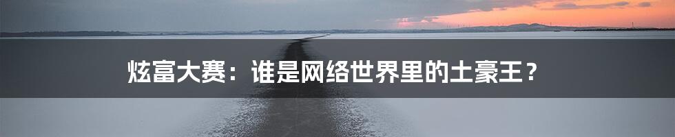 炫富大赛:谁是网络世界里的土豪王?