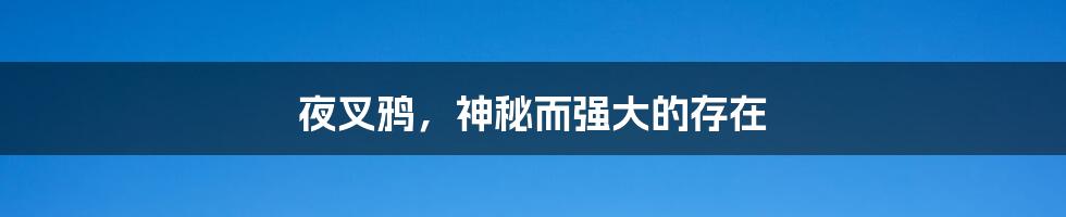 夜叉鸦,神秘而强大的存在
