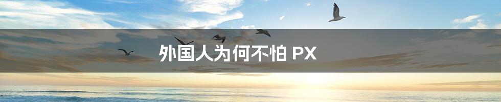 外国人为何不怕 PX