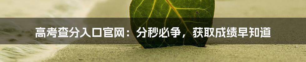 高考查分入口官网:分秒必争,获取成绩早知道