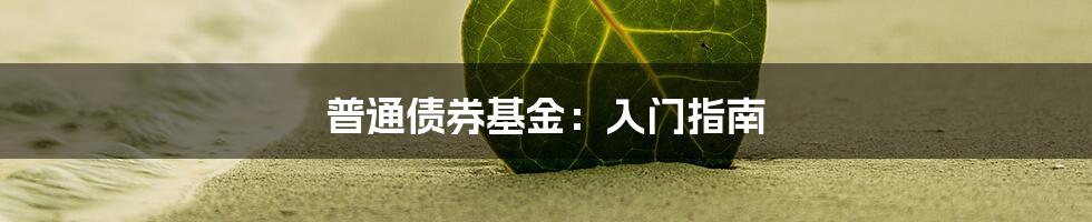 普通债券基金：入门指南
