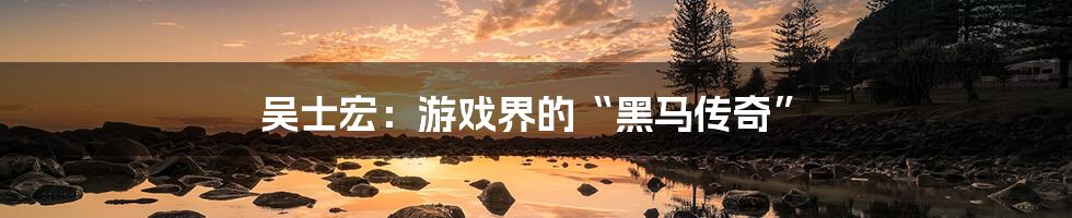 吴士宏:游戏界的“黑马传奇”