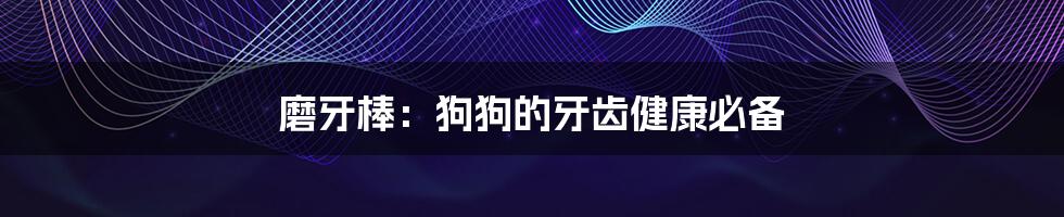 磨牙棒:狗狗的牙齿健康必备