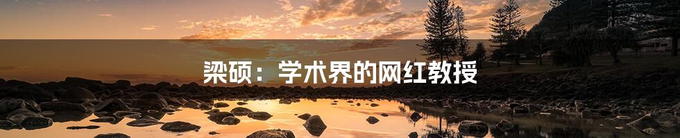 梁硕:学术界的网红教授