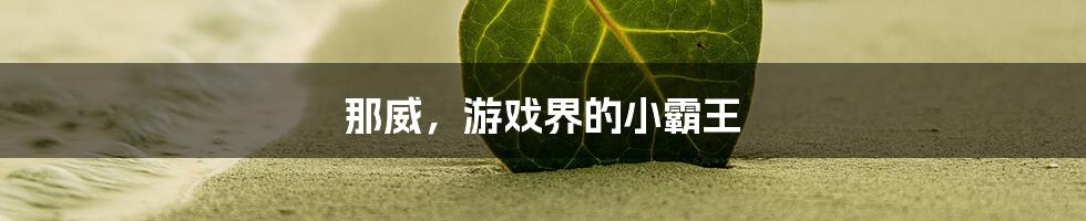 那威,游戏界的小霸王