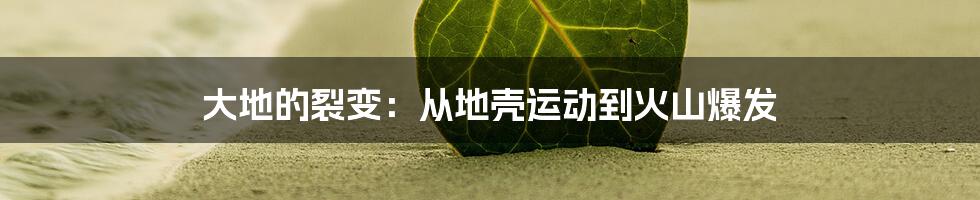 大地的裂变:从地壳运动到火山爆发