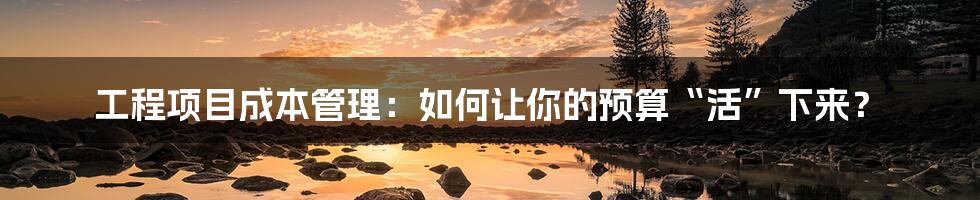 工程项目成本管理:如何让你的预算“活”下来?