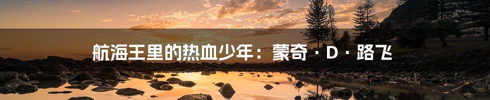 航海王里的热血少年:蒙奇·D·路飞