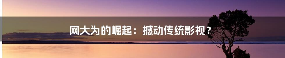 网大为的崛起:撼动传统影视?