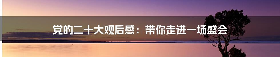 党的二十大观后感:带你走进一场盛会
