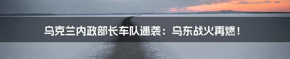 乌克兰内政部长车队遇袭:乌东战火再燃!