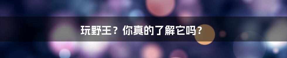 玩野王?你真的了解它吗?