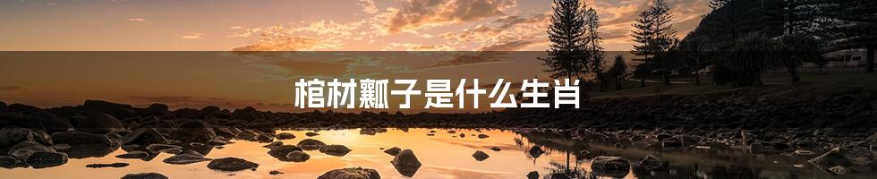 棺材瓤子是什么生肖
