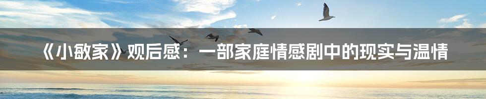 《小敏家》观后感:一部家庭情感剧中的现实与温情