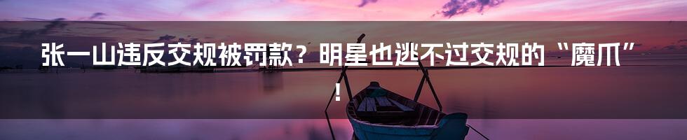 张一山违反交规被罚款?明星也逃不过交规的“魔爪”!