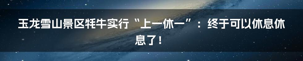 玉龙雪山景区牦牛实行“上一休一”:终于可以休息休息了!
