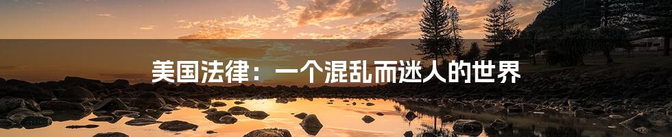 美国法律:一个混乱而迷人的世界