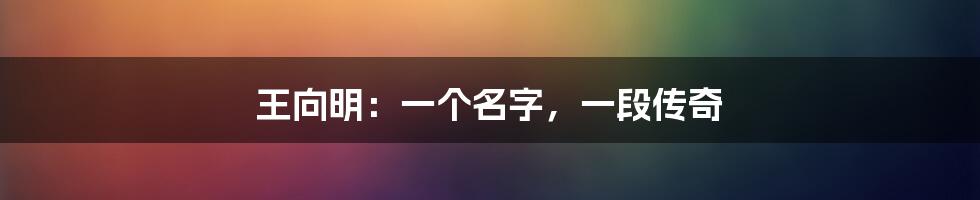 王向明:一个名字,一段传奇