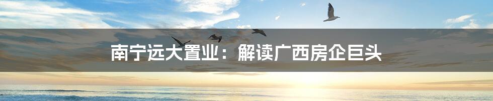 南宁远大置业:解读广西房企巨头