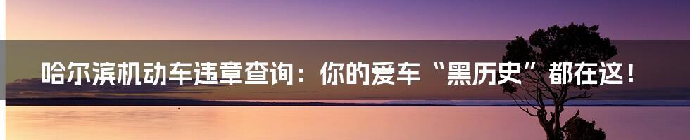 哈尔滨机动车违章查询:你的爱车“黑历史”都在这!