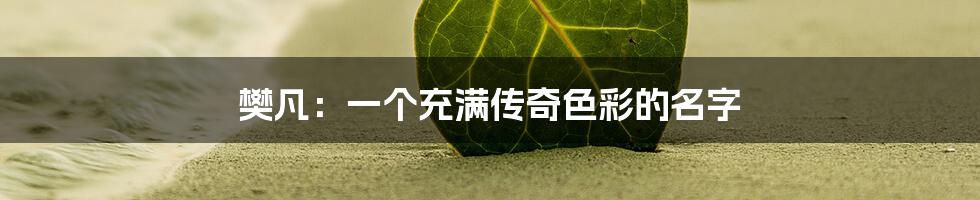 樊凡:一个充满传奇色彩的名字
