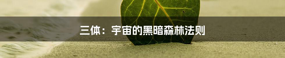 三体:宇宙的黑暗森林法则