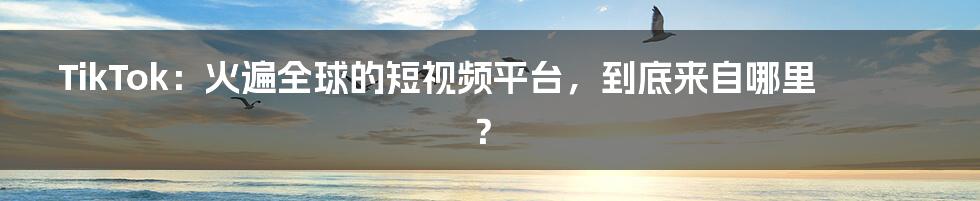 TikTok:火遍全球的短视频平台,到底来自哪里?