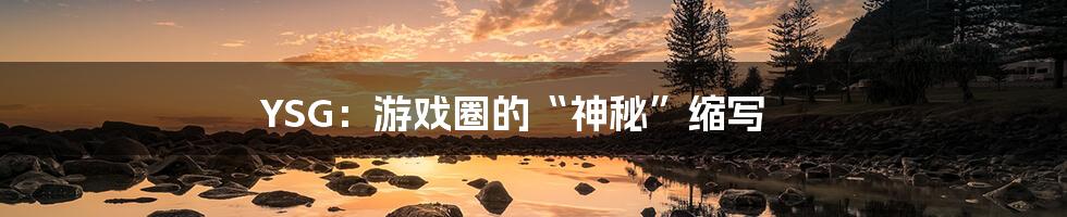 YSG:游戏圈的“神秘”缩写
