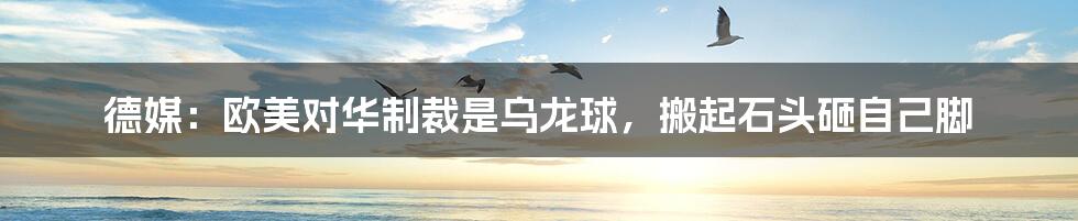 德媒:欧美对华制裁是乌龙球,搬起石头砸自己脚