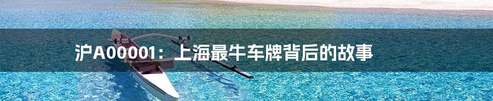 沪A00001:上海最牛车牌背后的故事