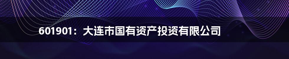601901:大连市国有资产投资有限公司
