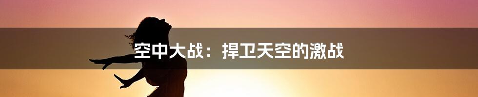 空中大战:捍卫天空的激战