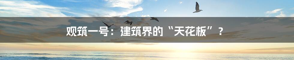 观筑一号：建筑界的“天花板”？
