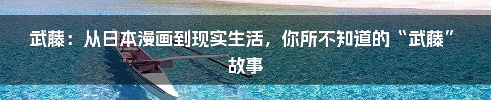 武藤:从日本漫画到现实生活,你所不知道的“武藤”故事