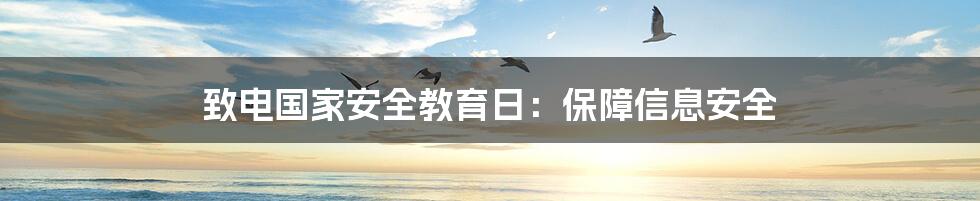 致电国家安全教育日:保障信息安全