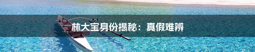 林大宝身份揭秘:真假难辨